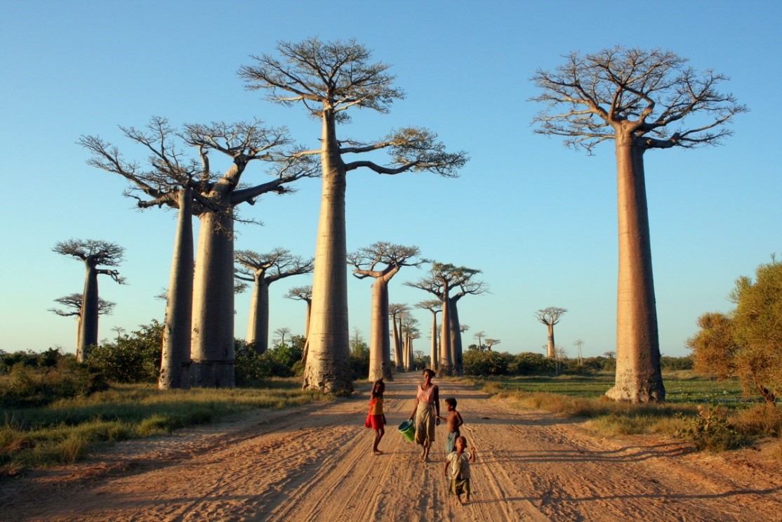 POTOPISNO PREDAVANJE -MADAGASKAR -V LEMURJEVI DEŽELI